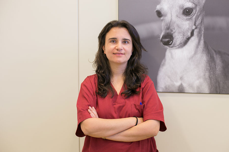VETERINARI