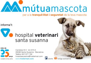 Mutua mascotes hospital veterinari