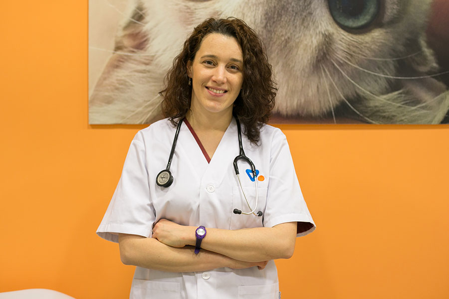 MARIA JOSE VETERINARI