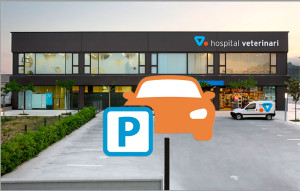 hospital-parquing
