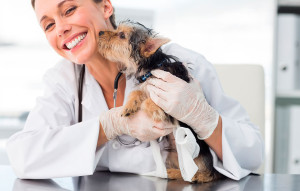 medicina preventiva animales